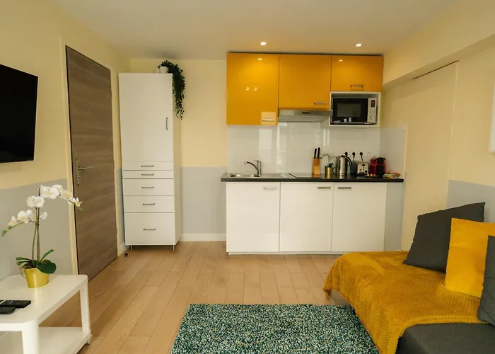 Beautiful Yellow Apartment Near Marais And Bastille